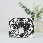 ブラック&ホワイトタイガー ポストカード (スタンド正面)