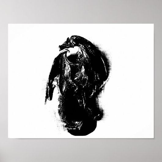 ブラック&ホワイトドラゴン ポスター (正面)