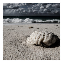 ブラック&ホワイトビーチ ポスター