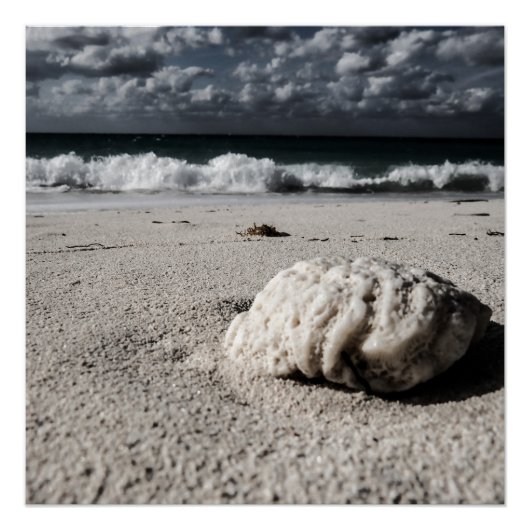 ブラック&ホワイトビーチ ポスター (正面)