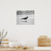 ブラック&ホワイトボナパルテズガルオンビーチ16x20 ポスター (キッチン)