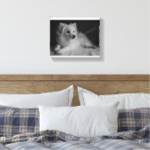 ブラック&ホワイトポートレート日本のスピッツ キャンバスプリント (インサイチュ (寝室))