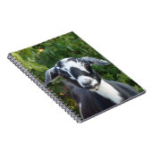 ブラック&ホワイトミニヌビアンデイリーヤギ ノートブック (右側)