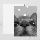 ブラック&ホワイト17yro子猫はがき空白の ポストカード (正面/裏面)
