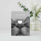ブラック&ホワイト17yro子猫はがき空白の ポストカード (スタンド正面)