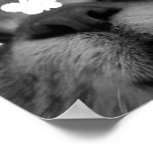 ブラック&ホワイト17yro子猫 ポスター (角)