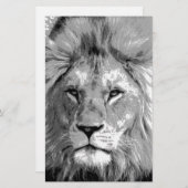ブラック ホワイト ライオン 便箋 (正面/裏面)