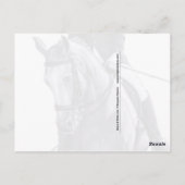 ブラック&ホワイトDuoドレスサージホース葉書 ポストカード (裏面)
