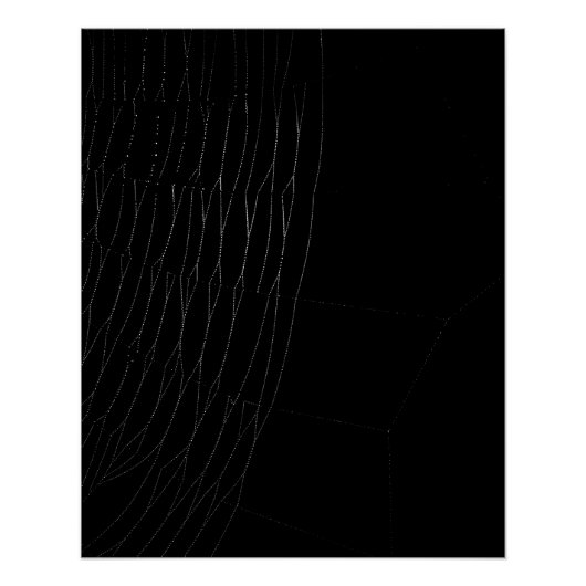ブラック・ポスター付きホワイトくもの巣のクローズアップ ポスター (正面)