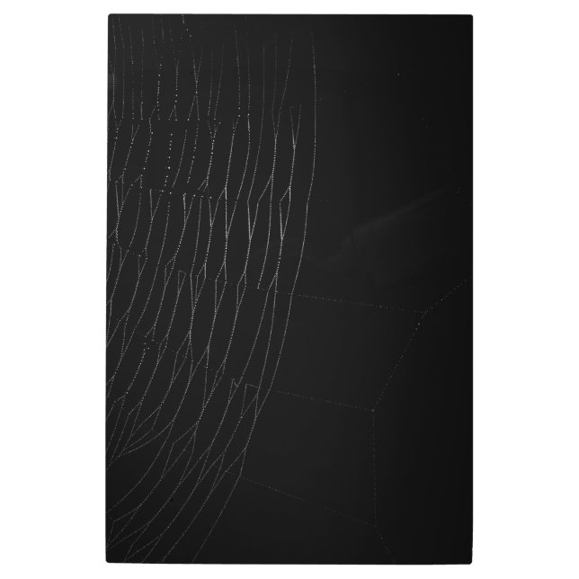 ブラック・ポスター付きホワイトくもの巣のクローズアップ メタルプリント (正面)