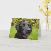 ブラック・ラブラドール・バースデー・カード カード (黄色い花)
