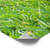 ブラック・ラボ – 休憩 ポスター (角)