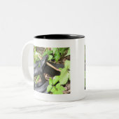 ブラック・レーサーのヘビの日に晒すこと ツートーンマグカップ (正面左)