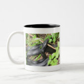 ブラック・レーサーのヘビの日に晒すこと ツートーンマグカップ (左)