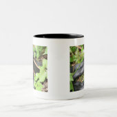 ブラック・レーサーのヘビの日に晒すこと ツートーンマグカップ (中央)