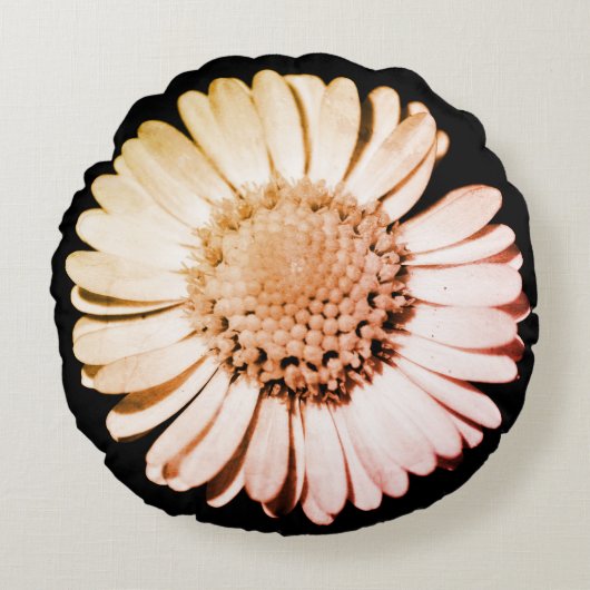 ブラック&赤面フローラボタニカル&ガーリーかわいいデイジー ラウンドクッション (正面)