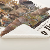 ブラッコイタリアノ シェルパブランケット (3/4)