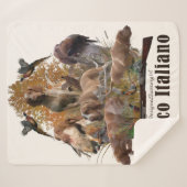 ブラッコイタリアノ シェルパブランケット (正面(横))