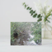 ブラッシュウェットランドブクストンOBXポストカード ポストカード (スタンド正面)