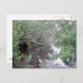 ブラッシュウェットランドブクストンOBXポストカード ポストカード (正面/裏面)