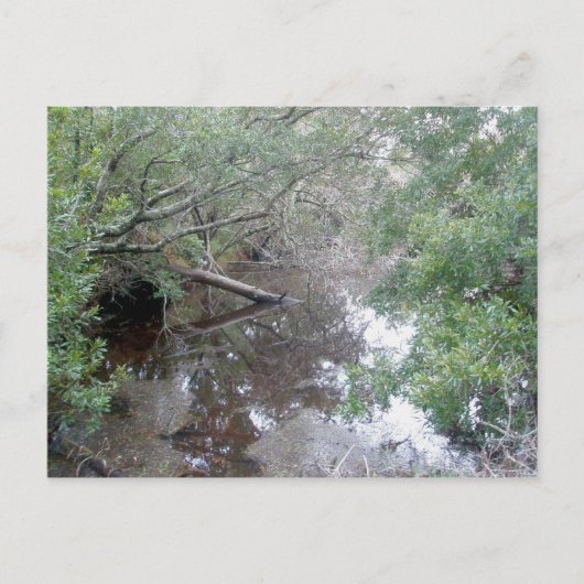 ブラッシュウェットランドブクストンOBXポストカード ポストカード (正面)