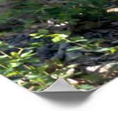 ブラッシュヒョウの山腹 ポスター (角)