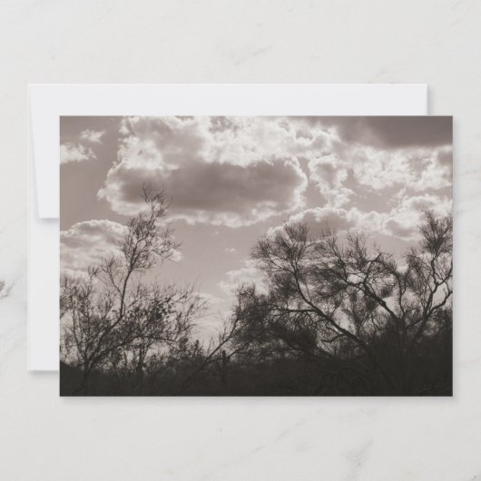 ブラッシュ バックライト (AZ 砂漠) セピア 招待状 (正面)