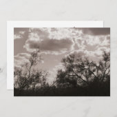 ブラッシュ バックライト (AZ 砂漠) セピア 招待状 (正面/裏面)