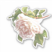 ブラッシングアイボリーピンクピーチバラ シール (正面)