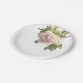 ブラッシングアイボリーピーチバラ ペーパープレート (アングル)