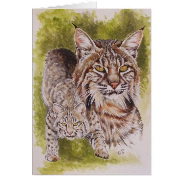 ブラッシー (正面)