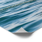 ブラッチング・シー・ライオン ポスター (角)