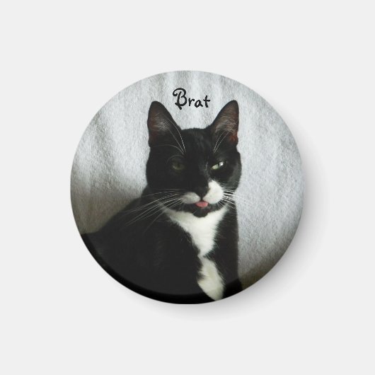 ブラットねこ磁石 マグネット (正面)