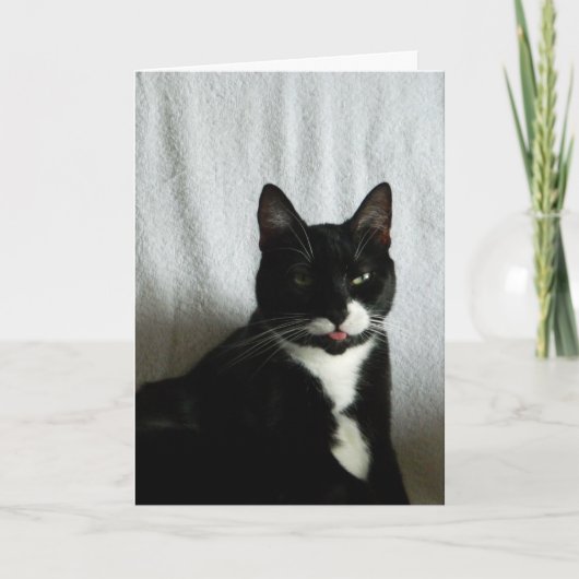 ブラットキャットラズベリー誕生日 カード (正面)