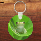 ブラッドオレンジの葉のツリーカエル – キーチェーン (正面)