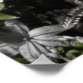 ブラッドティーと赤ひもカエル噴水プリント ポスター (角)