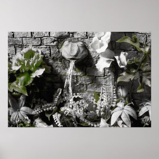 ブラッドティーと赤ひもカエル噴水プリント ポスター (正面)