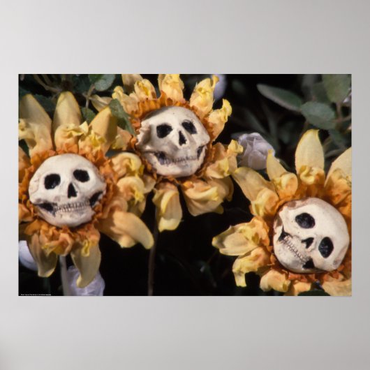 ブラッドティーと赤紐スカルひまわり ポスター (正面)