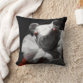 ブラッドティー及び赤紐白玉枕 クッション (ブランケット)