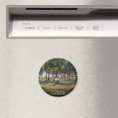 ブラッドドックパークヴィンテージカンバーランドマグネット マグネット (インサイチュ (食洗機))