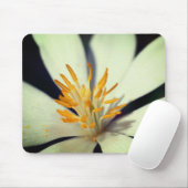 ブラッドドローの花のセンタークローズアップ マウスパッド (マウス)