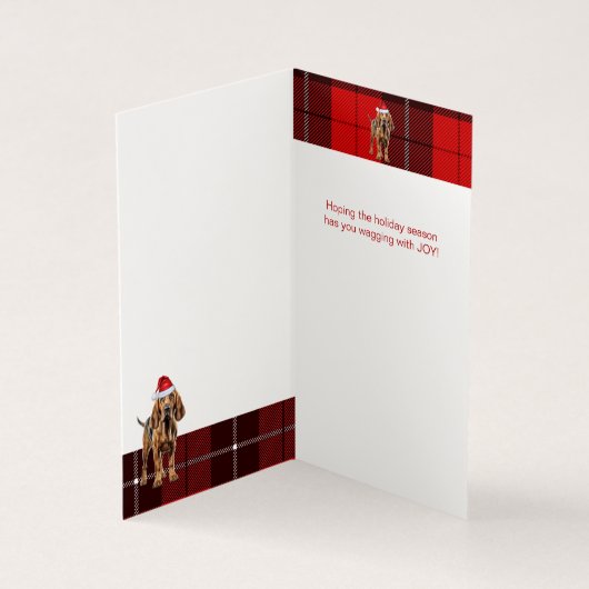 ブラッドハウンドのクリスマスドッグとレッドホリディプレイド (内部)