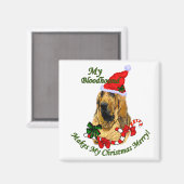 ブラッドハウンドのクリスマスプレゼント マグネット (正面/裏面)