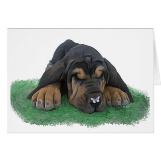 ブラッドハウンドの子犬