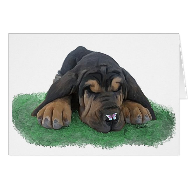 ブラッドハウンドの子犬 (正面横)