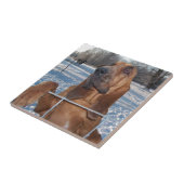 ブラッドハウンドの顔 タイル (側面)