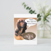 ブラッドハウンドトルコ ポストカード (スタンド正面)