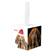 ブラッドハウンドドッグ2フォトクリスマスホリデー