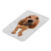 ブラッドハウンドパピー マグネット (左側)