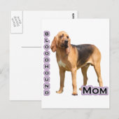 ブラッドハウンドママ4 ポストカード (正面/裏面)